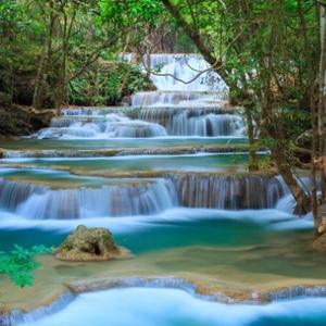 旅游达人海豹 头像