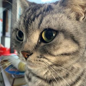 唐赢不是躺赢 头像