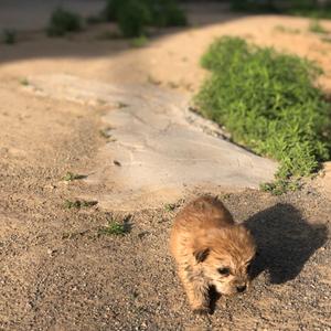 瞥见世间美好 头像