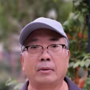 孵鵝鸭
