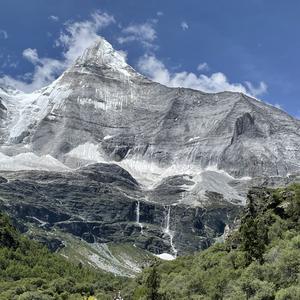 知行刁一禾陈皮 头像