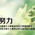 小路在行动 头像