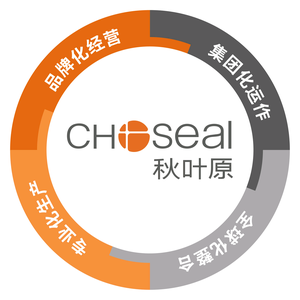 秋叶原CHOSEAL线缆头像