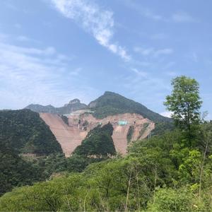 今晚下山打老虎1002 头像