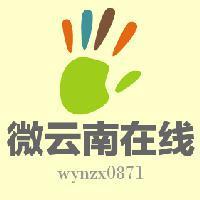 微云南在线 头像
