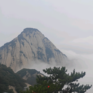 衡水学霸笔记分享 头像