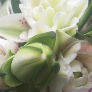 a招招小生活 头像