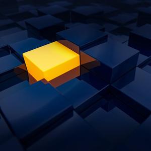 非典型d自学之路 头像