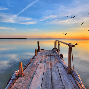 小谢商行官方号 头像