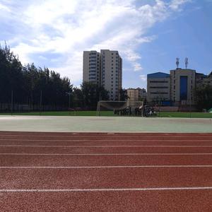 优雅柳叶1X 头像