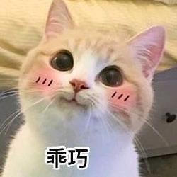闲散编外人员