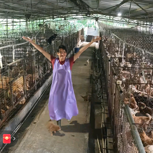 小雨养狗（养狗好物测试和推荐） 头像