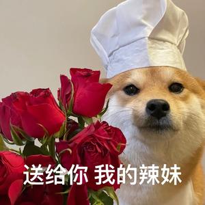 勇敢的小羊aQ 头像