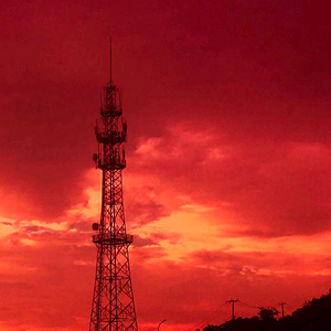 连云港老海带 头像