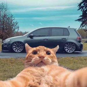 旅行猫侃车 头像