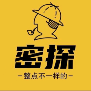 密探探探案头像