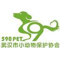 武汉市小动物保护协会 头像