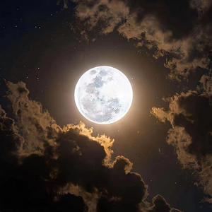 鹏哥爱吃瓜 头像