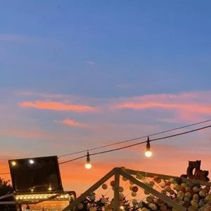 雏菊盛开的山坡 头像