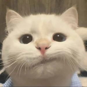 灵巧生活家 头像