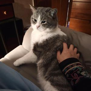 程少白的美好生活 头像