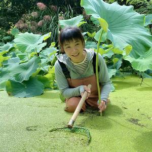 小路在乡村头像