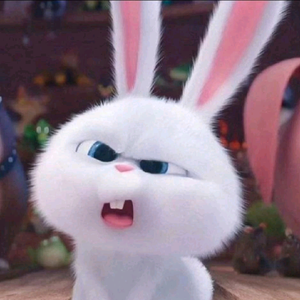 兔子讲八卦 头像