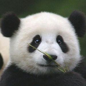 蜗牛漫步 头像
