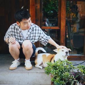 郑笨狗上学去 头像