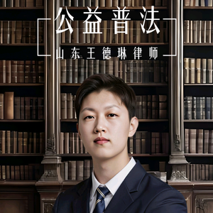 王德琳山东刑事律师 头像