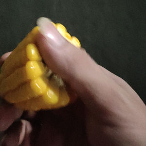 快乐船帆6 头像