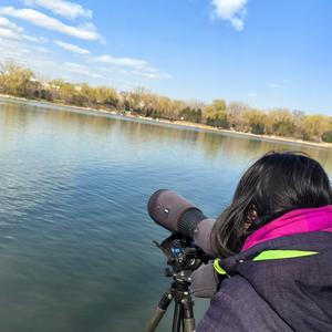 乐天派伯蒂7P5 头像