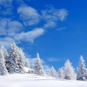 雪天玉莹