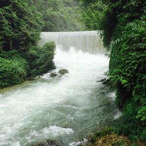 茶韵12