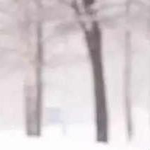 阿光的音乐分享 头像