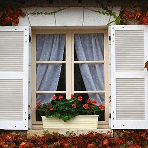 两扇窗情感文化 头像