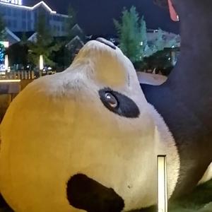 坦荡的春风jm 头像