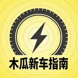 电动车大V 头像