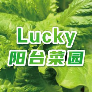 Lucky的阳台菜园头像