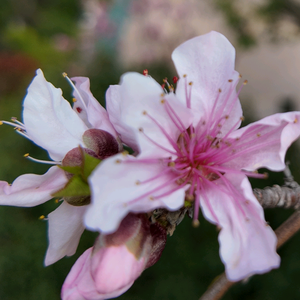 没想好名字 头像