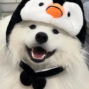 微风些许甜 头像