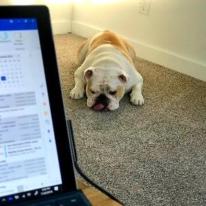 中国标准2008912004 头像