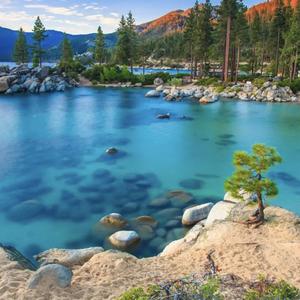 萝卜达看世界 头像