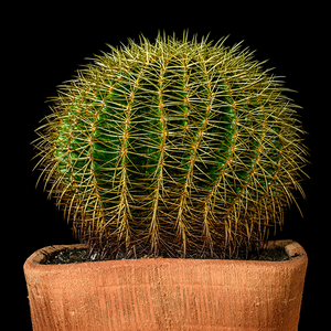 川流不息科普 头像