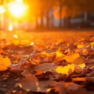 废话文学叔 头像