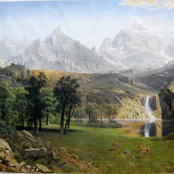 蒲公英骑士团 头像