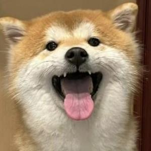 娱乐圈阿怡 头像