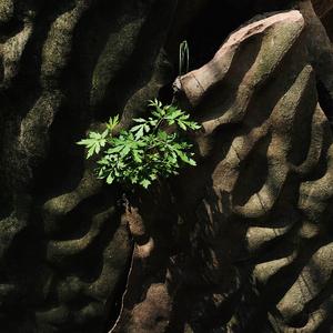 快乐的帆船yp 头像