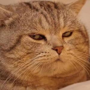 一个汇票贩子 头像