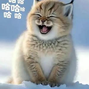 健身卡拉米 头像
